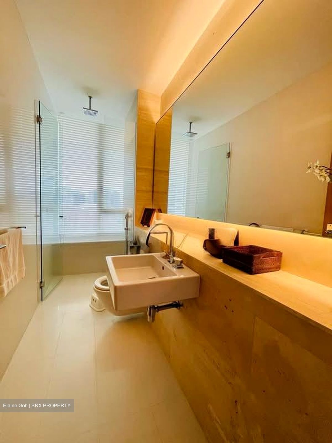 Ardmore II (D10), Condominium #576192321